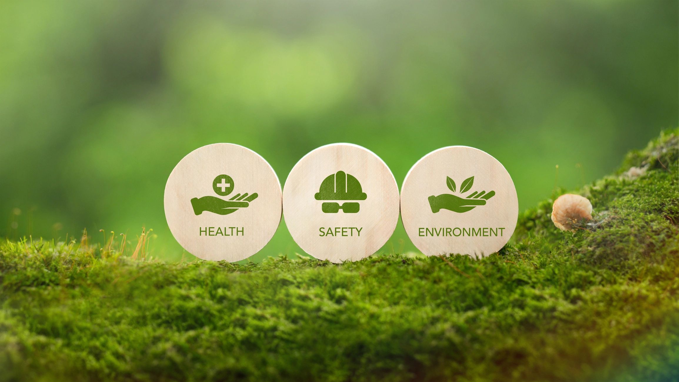 environmental services company